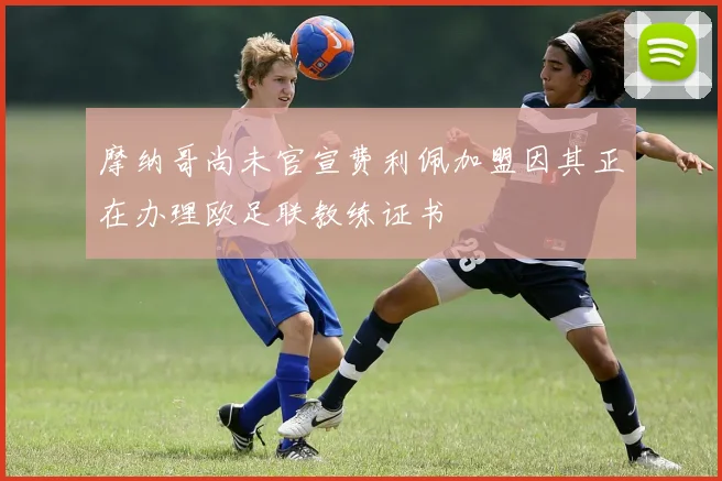 摩纳哥尚未官宣费利佩加盟因其正在办理欧足联教练证书