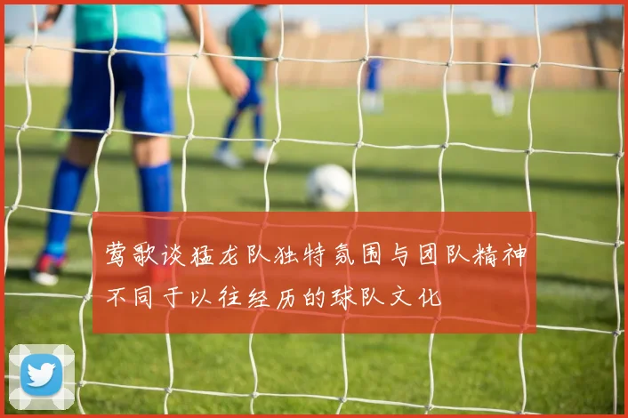 莺歌谈猛龙队独特氛围与团队精神不同于以往经历的球队文化